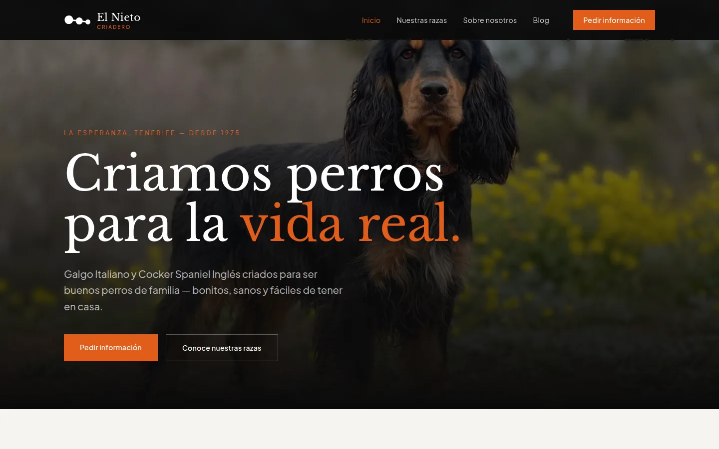 Portada de la web de El Nieto